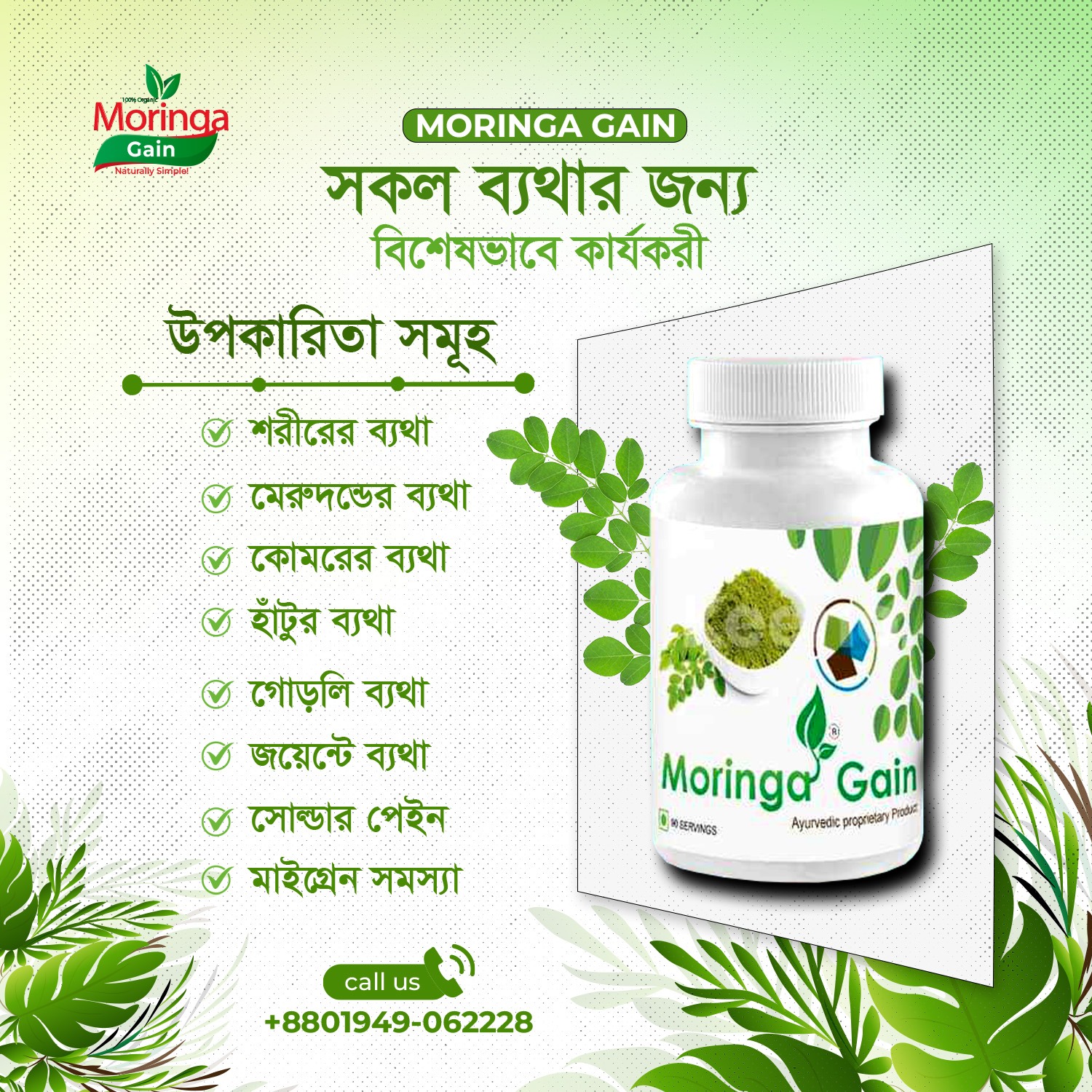 Moringa Gain Image